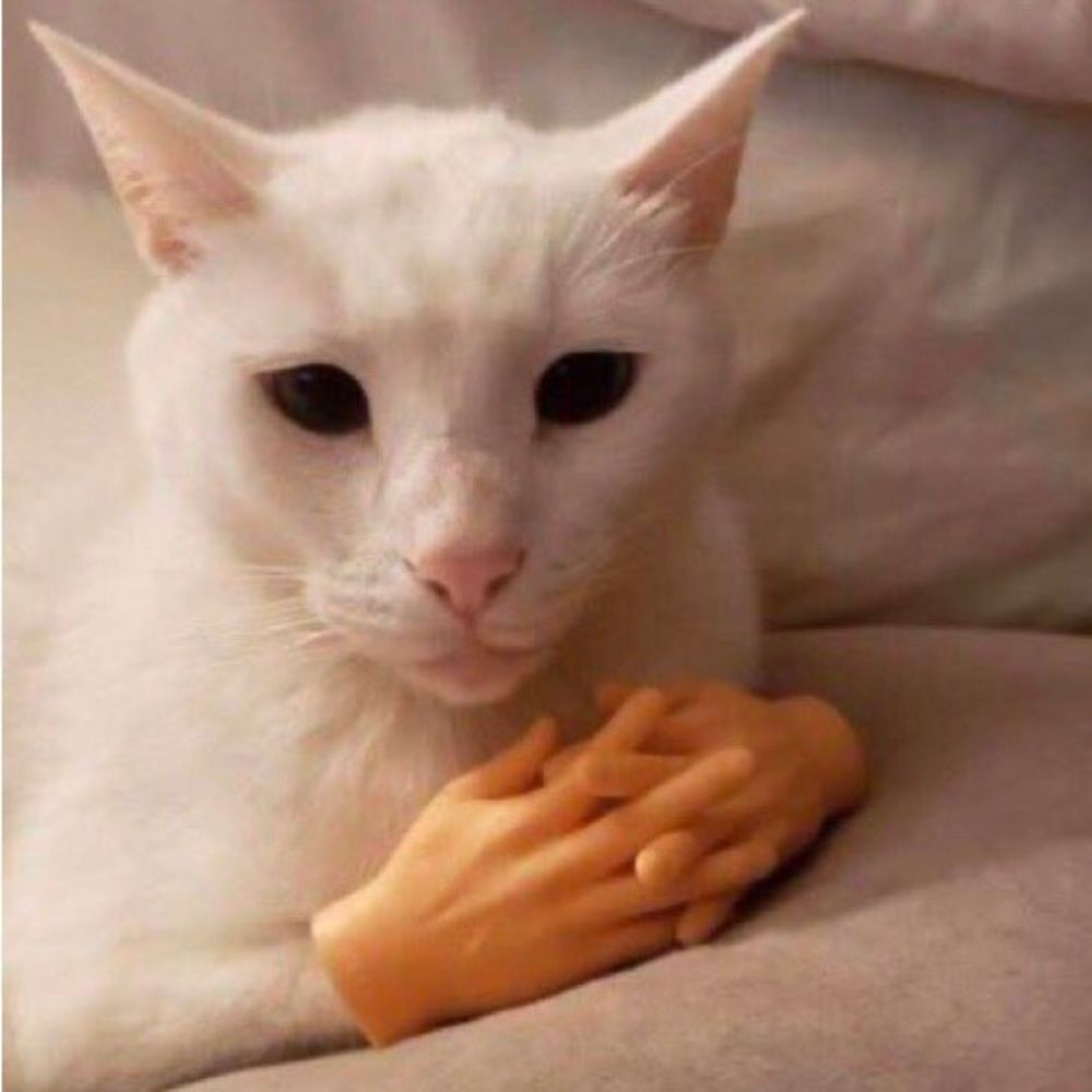 Apt. 9 Black Women's Blazer NWT - image 6